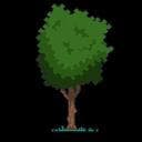 2D Bananas Adventure