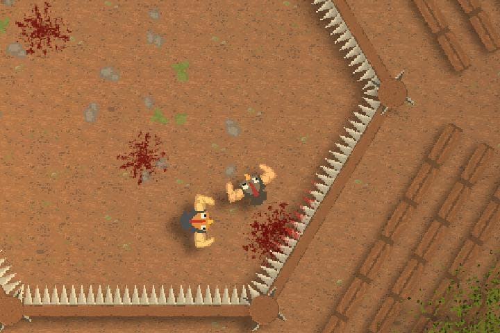 Fight of Feathers screenshot 2