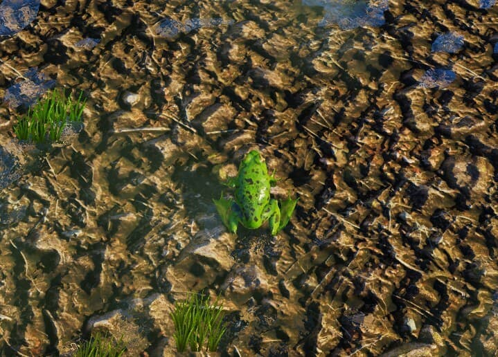 Froggy (Edwin Almaraz)