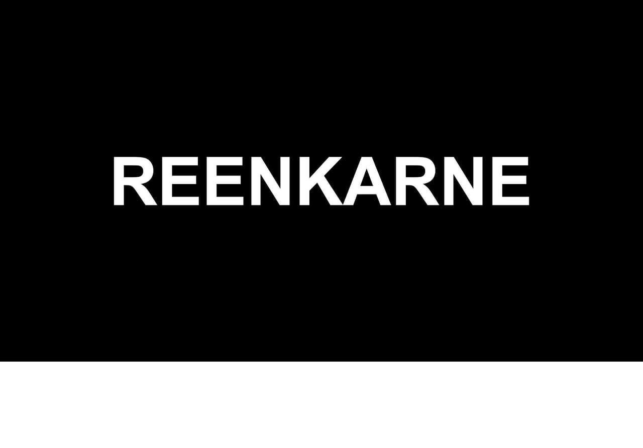 Reenkarne (Eyyüp Caner Çeşmeci) screenshot 2
