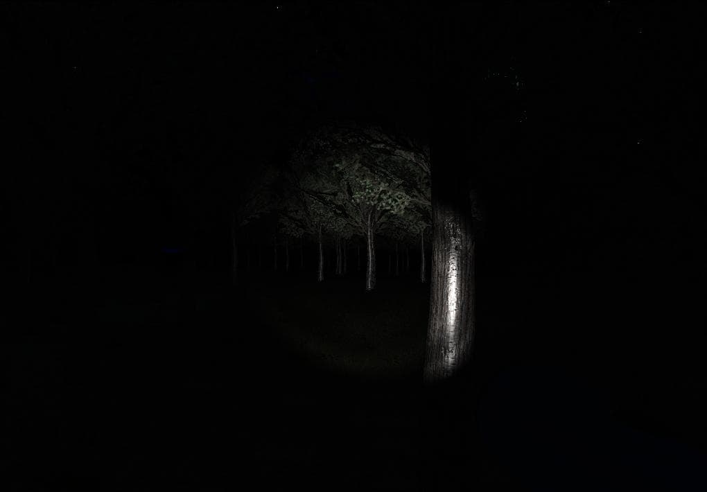 Slender: Strange Forest screenshot 4