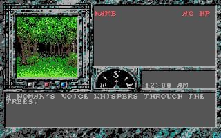 The Dark Queen of Krynn screenshot 5