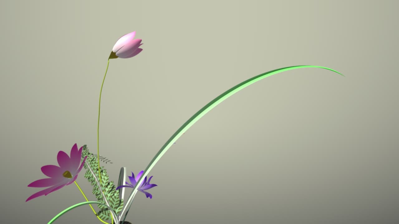 Flower Design Ⅱ