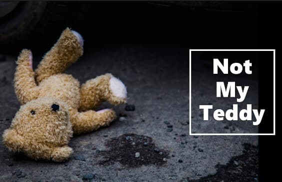 Not My Teddy