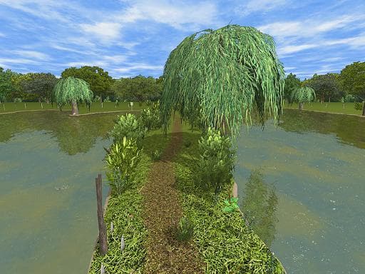 3DCARP screenshot 6