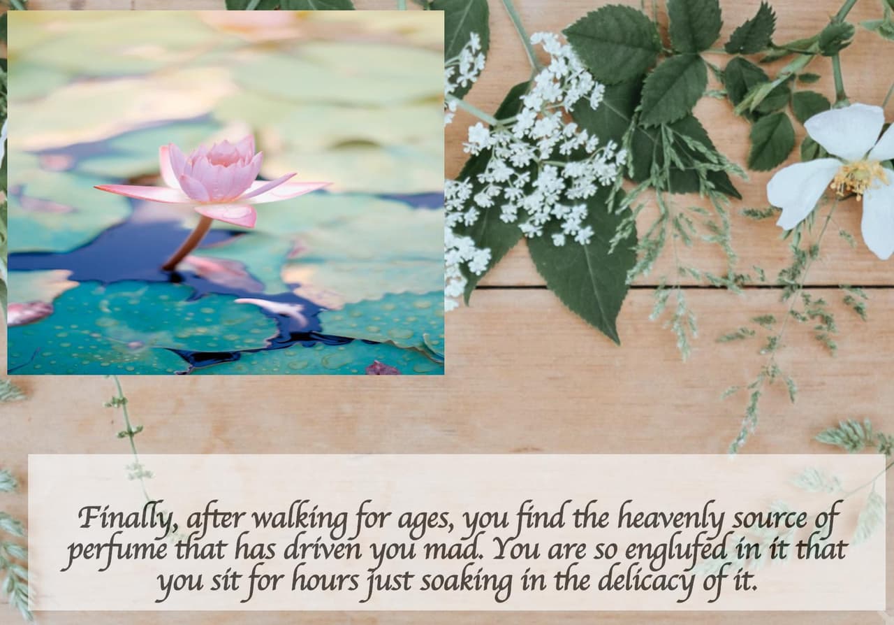 Persephones Choice: Where Will You Rule?