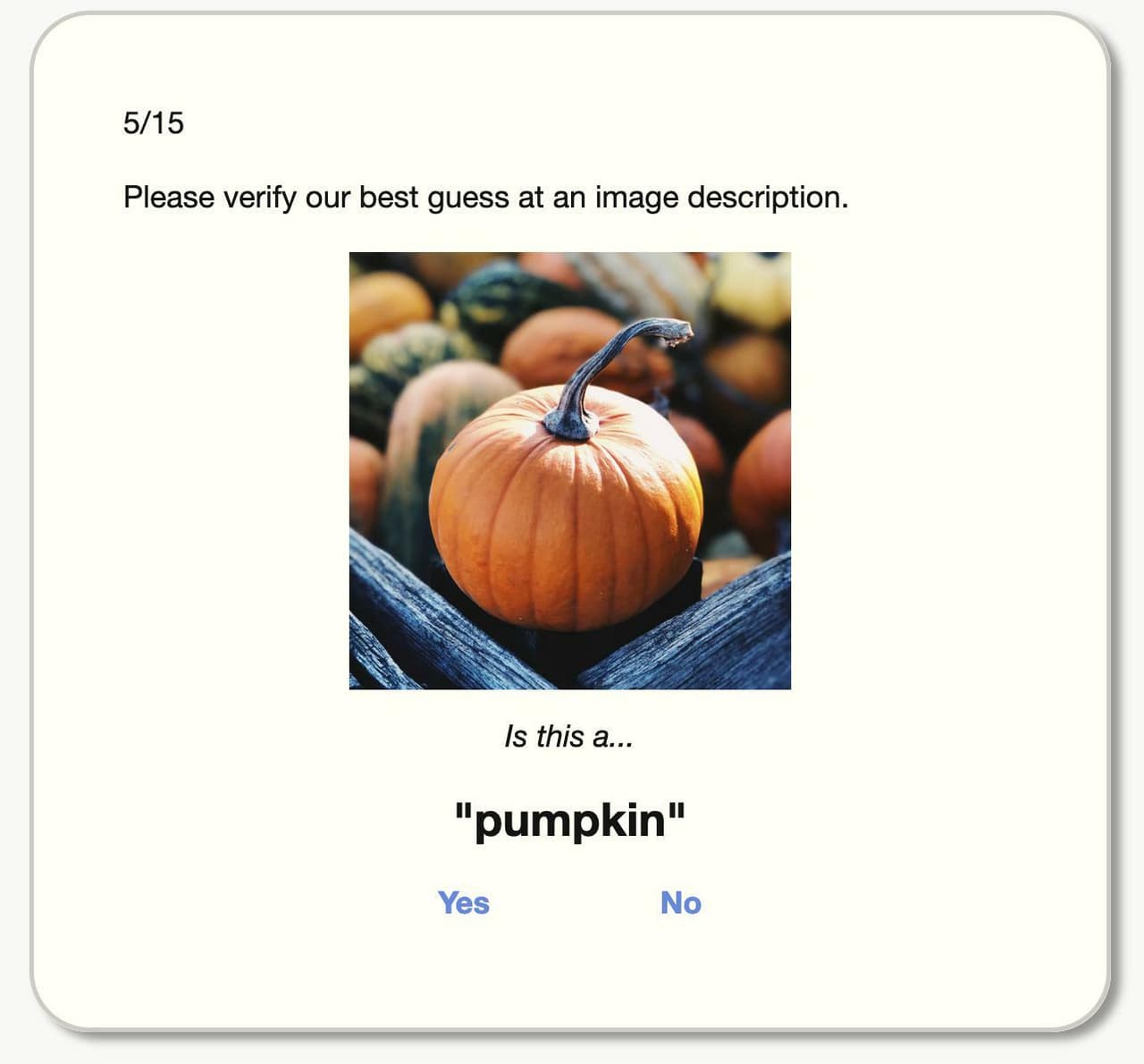 pumpkin.jpg