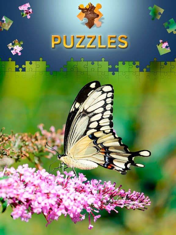 Animals Jigsaw Puzzles 2017