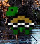 Turtlebutt Adventure (Party Version)