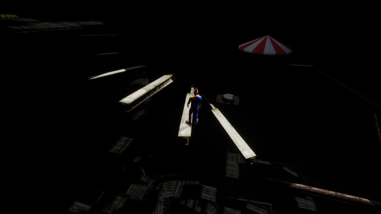 Circus Challenge screenshot 5