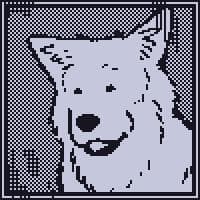Dogs of the Drift