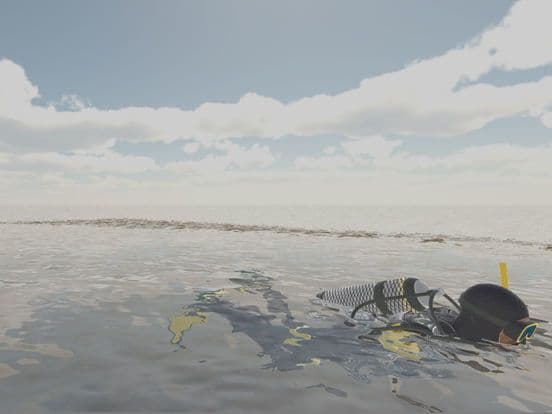 Shark Hunting Simulator
