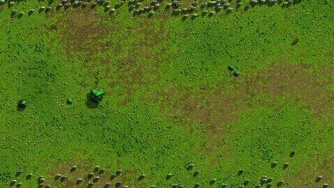 Songs of Syx screenshot 5