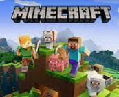 Minecraft Paper Edition (Java)