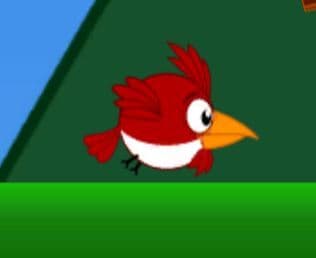 Furious Fowl