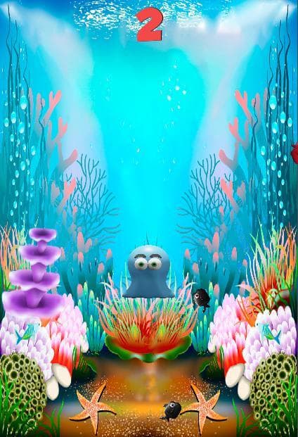 Ameba (Panetone Studio)