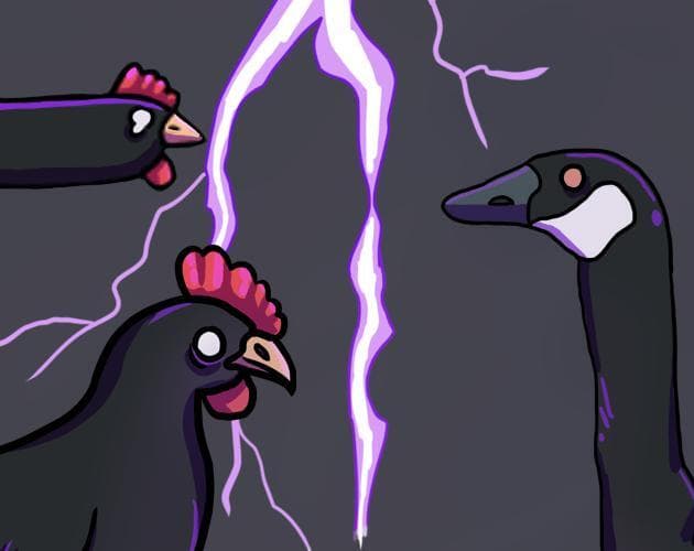 birb survivors