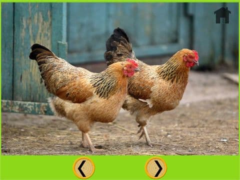 prodigious farm animals for kids - free