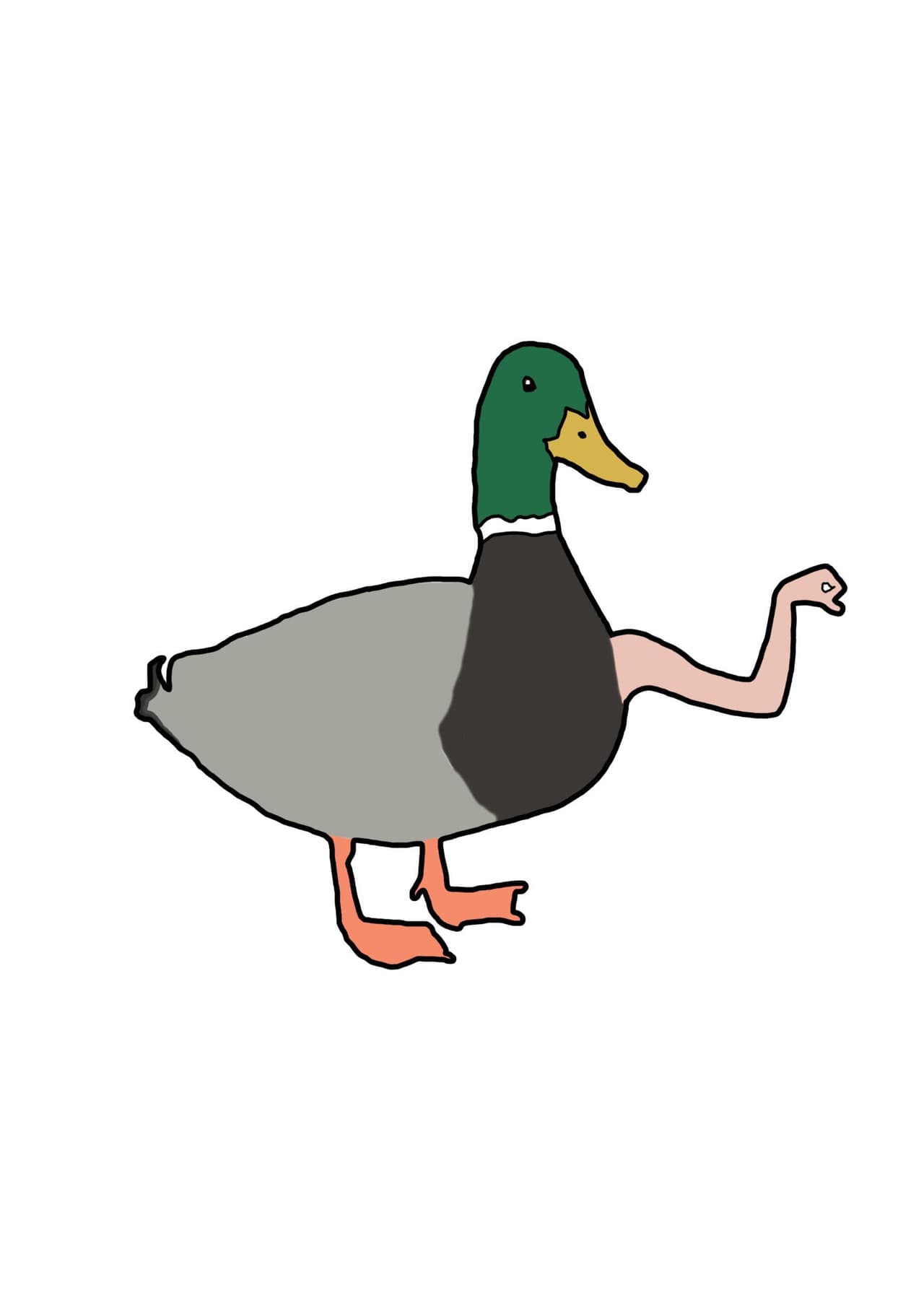 Group6 - Quack quack panic attack!
