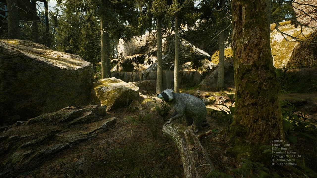 Morels: The Hunt