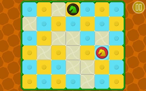 Chess and Puzzle