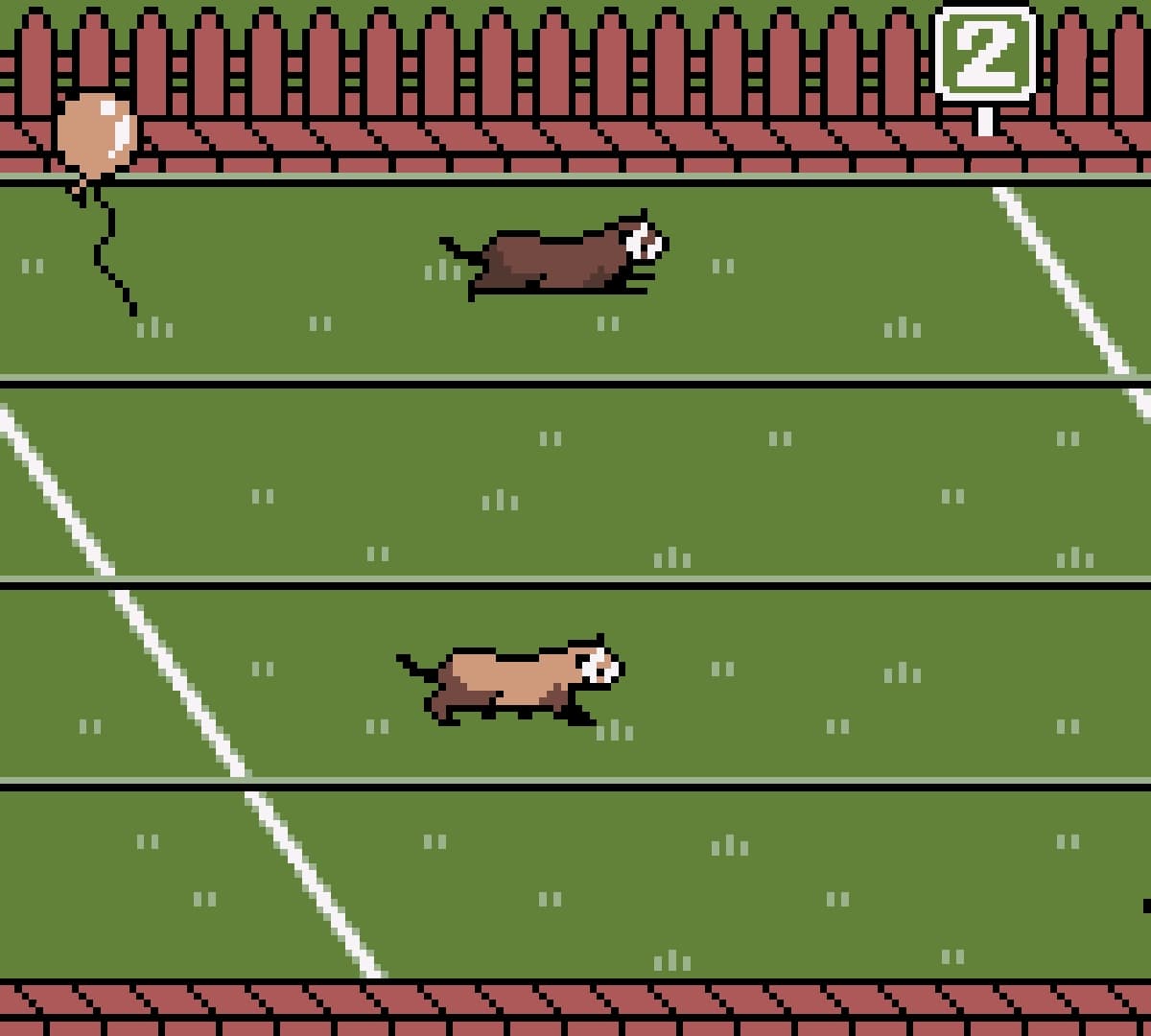 Ferret Monogatari: Watashi no Okiniiri screenshot 6