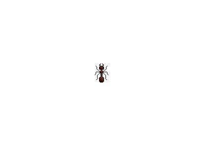 Ants (itch) (Firewalk)