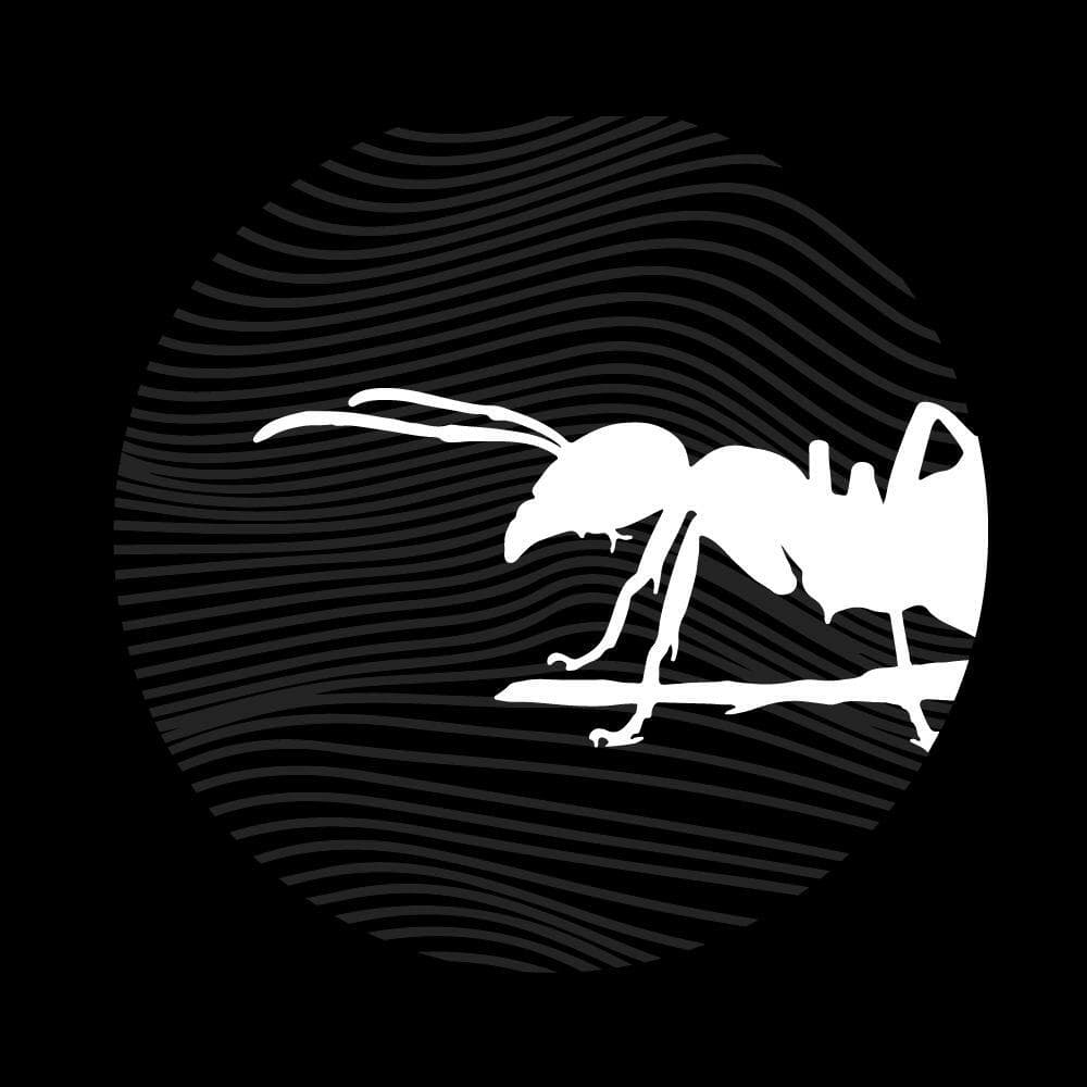 Anthill (itch) (WoWPerroDev, Drawowprro, saseb, Albvasper, Relionart)