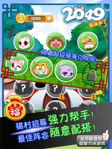 2049猫猫来了