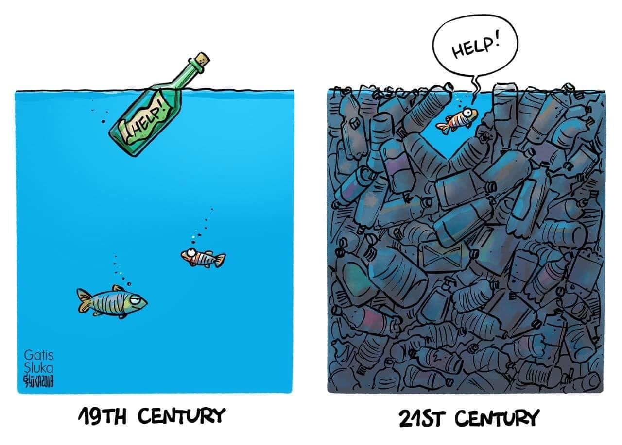 Fish Trap