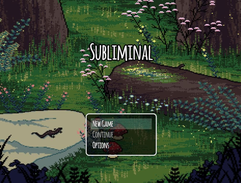 Subliminal Demo Windows ZIP Install screenshot 2