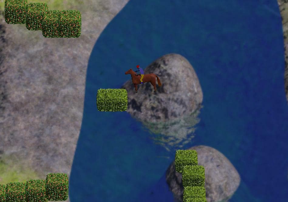 Untamed Horse