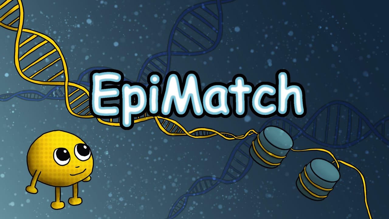 EpiMatch