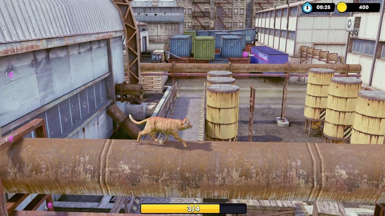 Little Strays screenshot 2