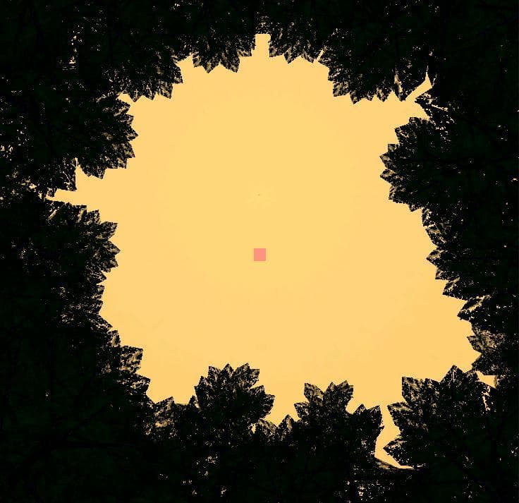 Oracle Pine screenshot 4