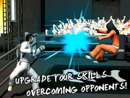 Karate Do Fighting Tiger 3D screenshot 4
