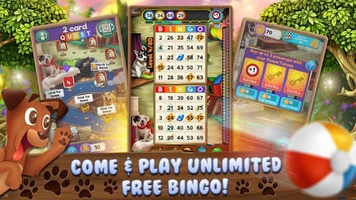 Bingo Pets Party: Dog Days screenshot 2