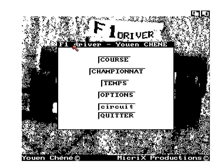 F1 Driver screenshot 3