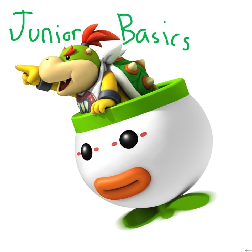 Bowser Junior Basics