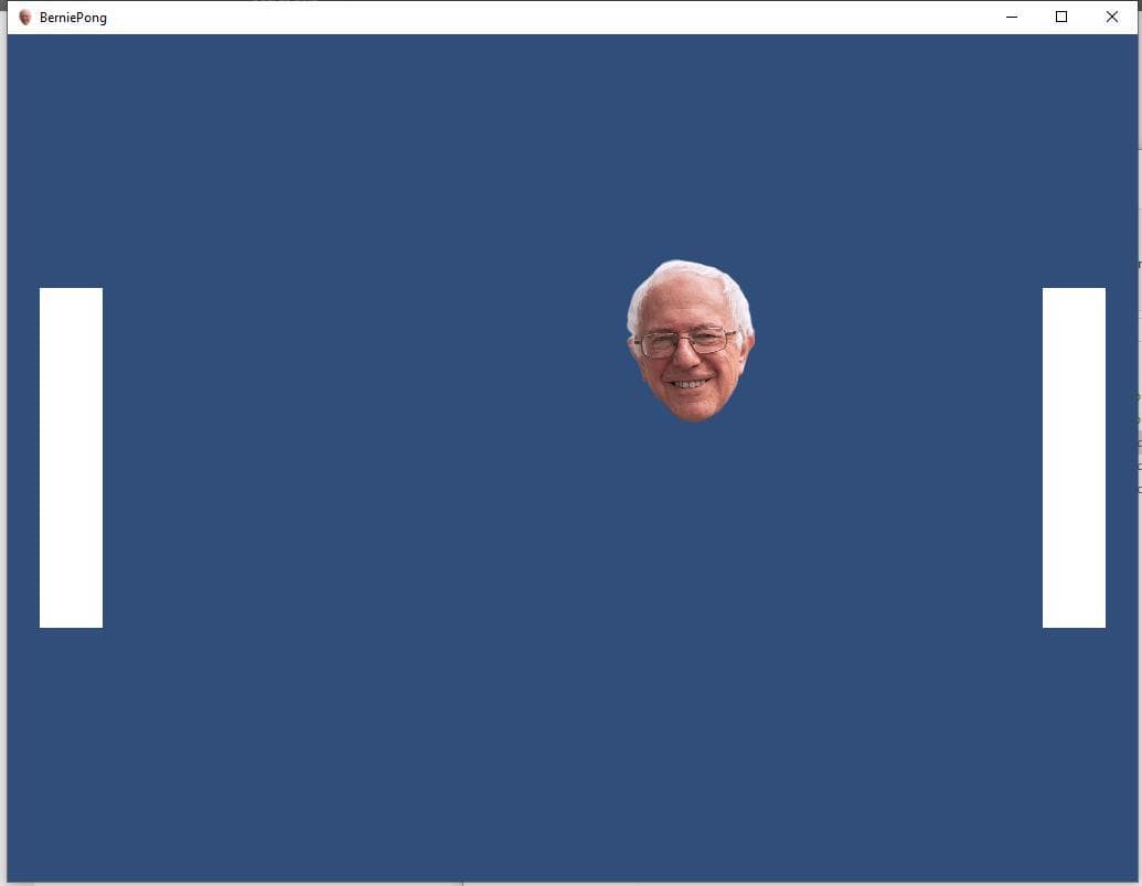 Bernie Pong