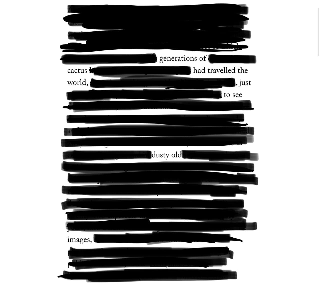 Individually Potted - A Blackout Poem screenshot 5