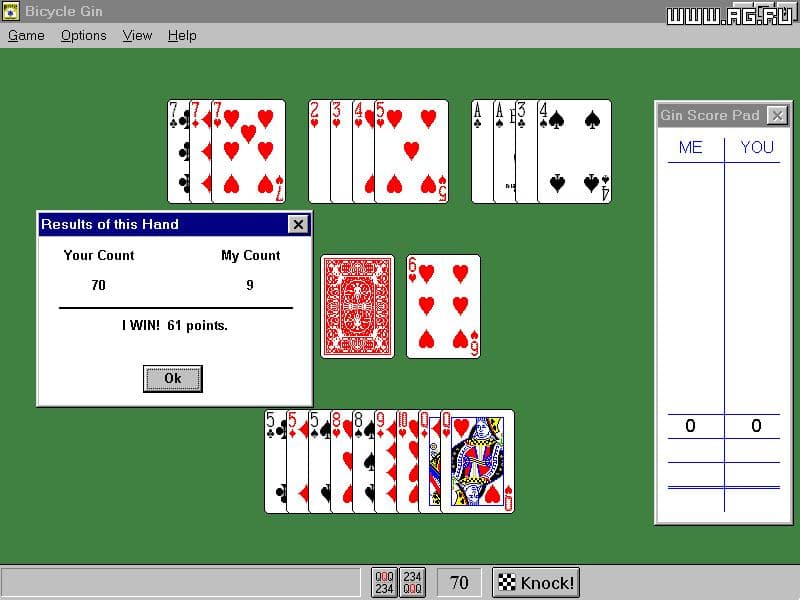 Bicycle Gin for Windows screenshot 2