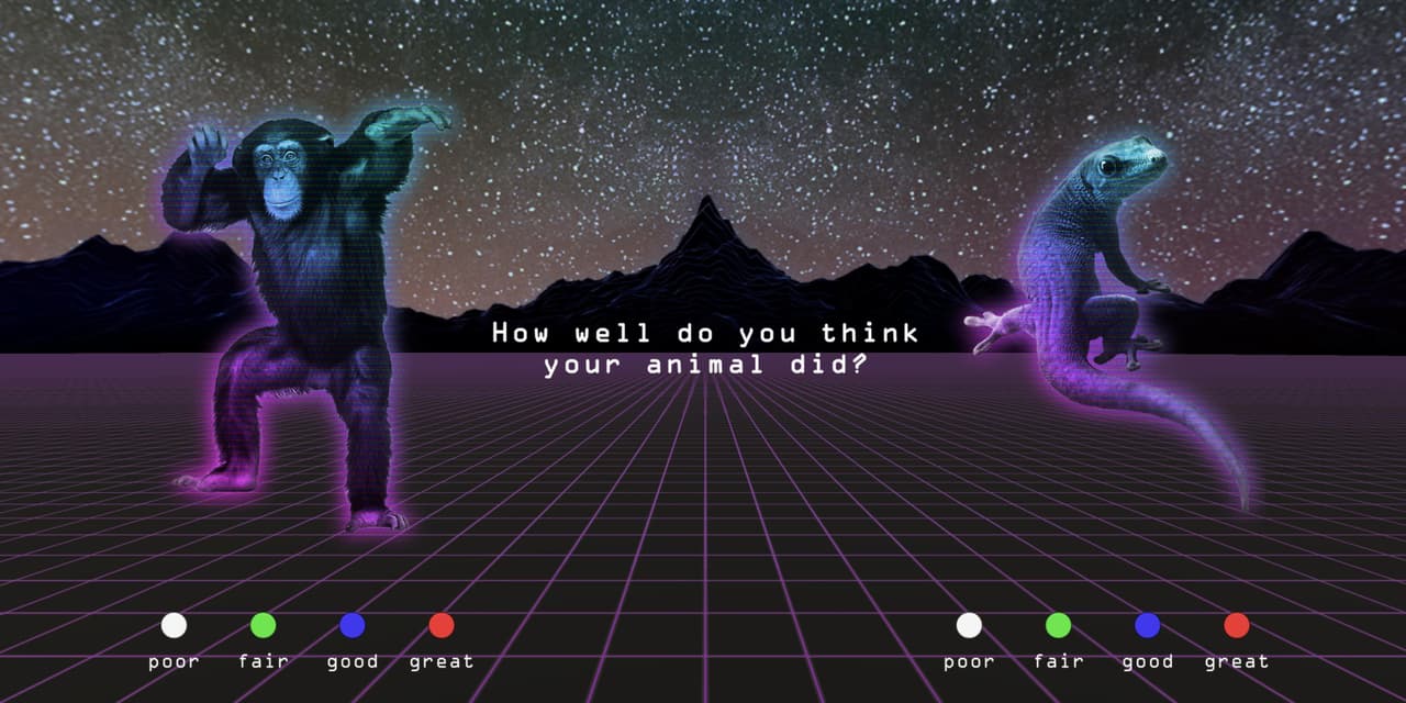 Zooba Battle