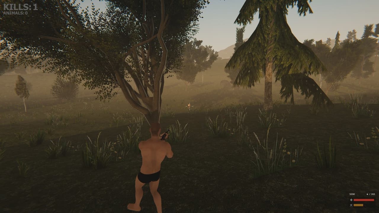 Valley of the foxes screenshot 4