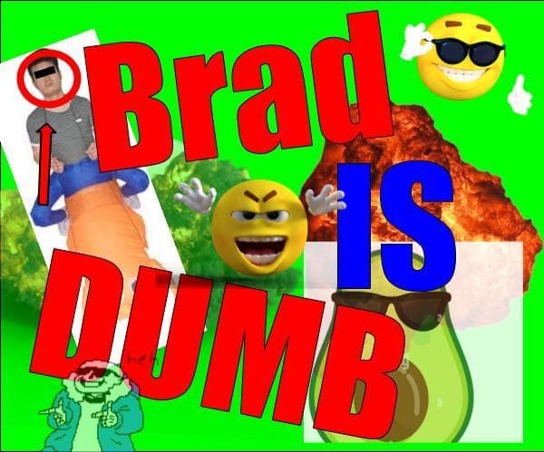 ~brad is dumb~