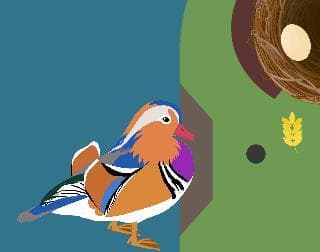 Duck Pinball