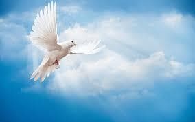 Dove Simulator (Windows Build)