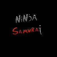 Ninja X Samurai