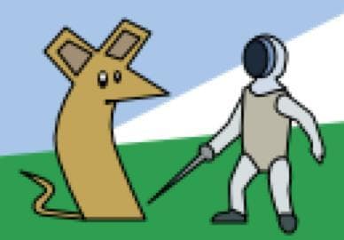 Fencing Simulator 2700