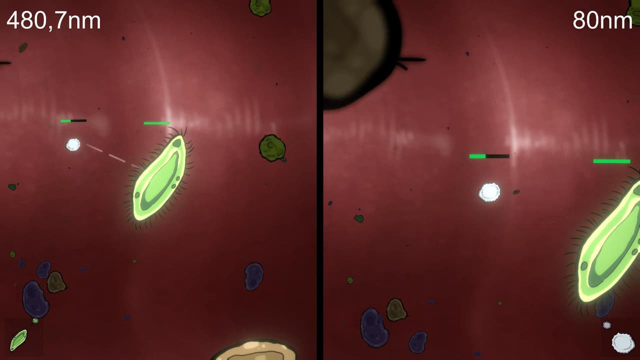 Bacteria Vs Antibody screenshot 2